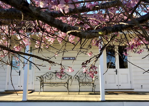 Gowan Brae Cottage - Kawana Tourism 3