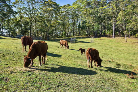 GOWAN ROSS COTTAGE - Kawana Tourism 1