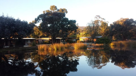 Halls Haven Resort - Kawana Tourism 1