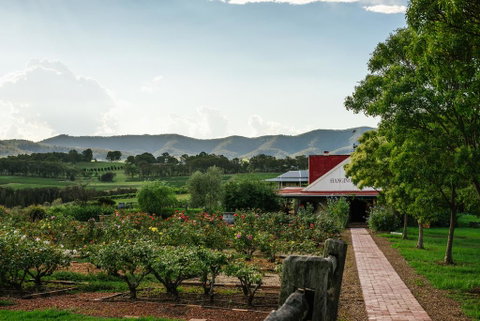 Hanging Tree Wines - Kawana Tourism 0
