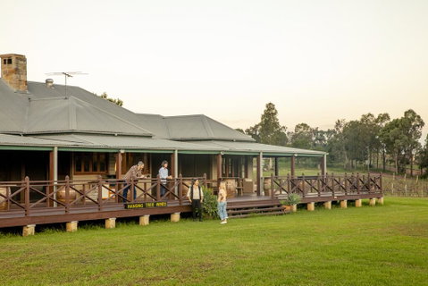 Hanging Tree Wines - Kawana Tourism 1