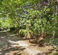 Jalscene - Kawana Tourism
