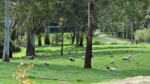 JAN'S ART STUDIO AT ASHBY RISE - Kawana Tourism 0