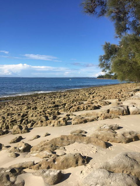 Jervis Bay Magic Vincentia South Coast - Kawana Tourism 0