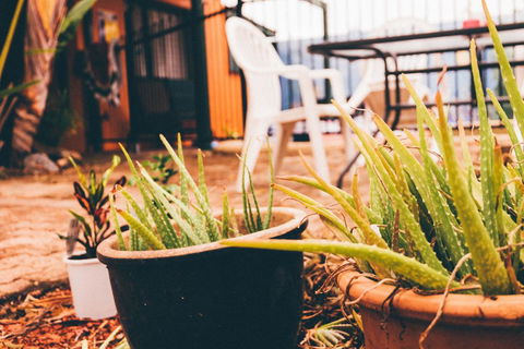 JJs Backpackers Hostel - Kawana Tourism 2