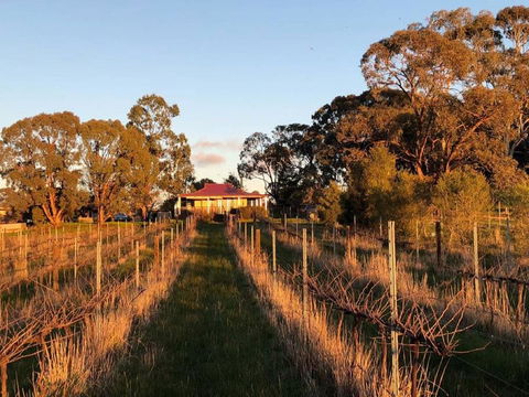 Lillicur Vineyard B&B - Kawana Tourism 0