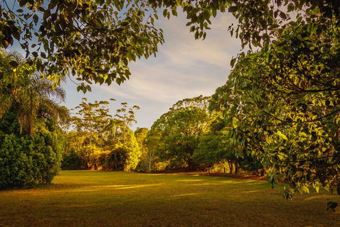 Malanda Lodge - Kawana Tourism 1