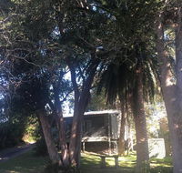 Neds on Northcote - Kawana Tourism