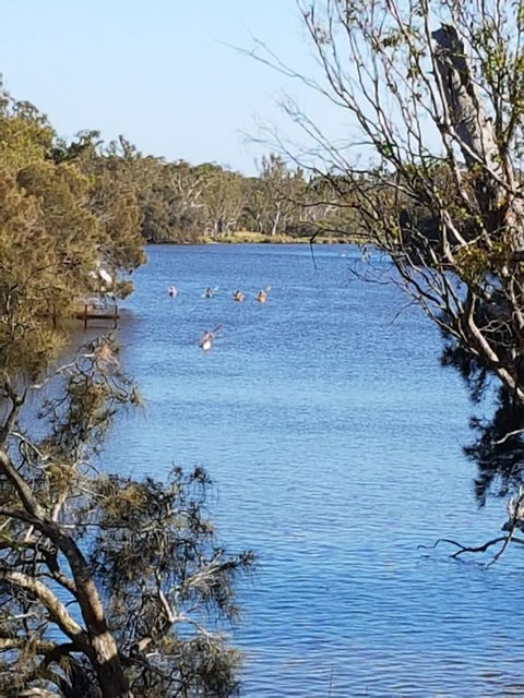 Jacaranda Hideaway Bed & Breakfast - Kawana Tourism 19