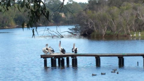 Jacaranda Hideaway Bed & Breakfast - Kawana Tourism 18