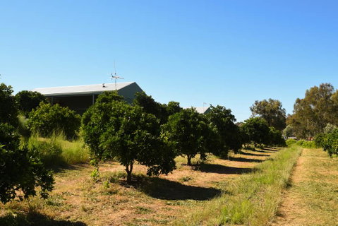 Swan Valley Sisters - Kawana Tourism 29
