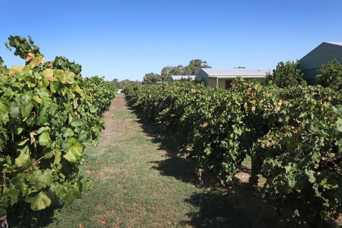 Swan Valley Sisters - Kawana Tourism 9