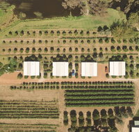 Swan Valley Sisters - Kawana Tourism