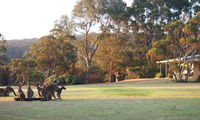Book Walpole Accommodation Vacations Kawana Tourism Kawana Tourism