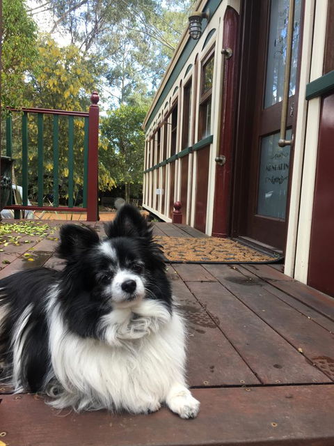 Quiet Escapes Cottages - Kawana Tourism 15