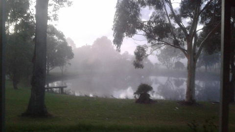 Abbivale Farm Cottage - Kawana Tourism 18