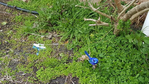 Abbivale Farm Cottage - Kawana Tourism 17