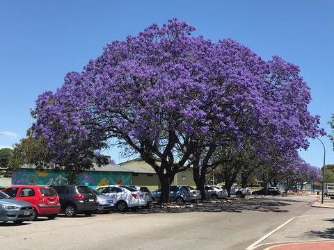 Gerring Court With Free 1 Car Bay Parking - Kawana Tourism 20