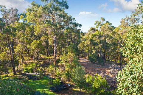 A Hidden Bush Delight - Kawana Tourism 30
