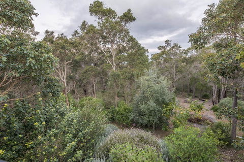 A Hidden Bush Delight - Kawana Tourism 7