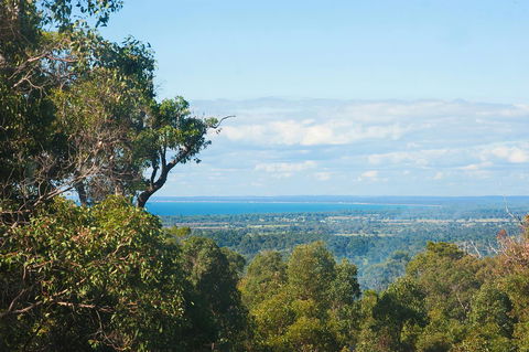 A Hidden Bush Delight - Kawana Tourism 31