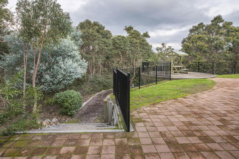 A Hidden Bush Delight - Kawana Tourism 9