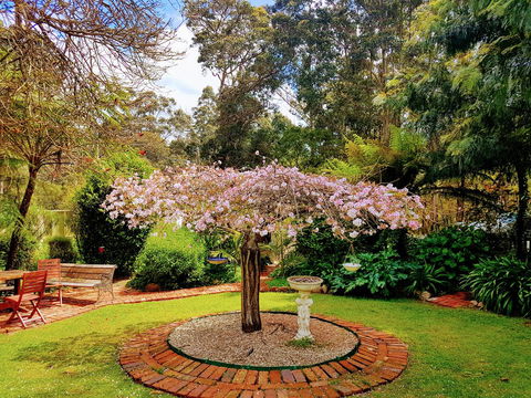 Adamsons Riverside Accommodation - Kawana Tourism 25