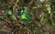 Banksia Tourist Park - thumb 15