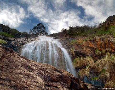 Banksia Tourist Park - Kawana Tourism 17