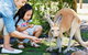 Banksia Tourist Park - thumb 29