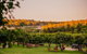 Banksia Tourist Park - thumb 25