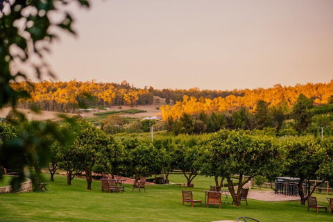 Banksia Tourist Park - Kawana Tourism 25