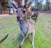 Yelverton Brook Eco Spa Retreat  Conservation Sanctuary - Kawana Tourism
