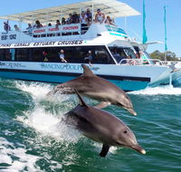 Belvedere Caravan Park - Kawana Tourism
