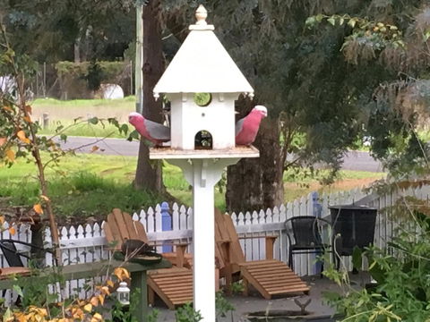 Applegate Lane Chalet - Kawana Tourism 25