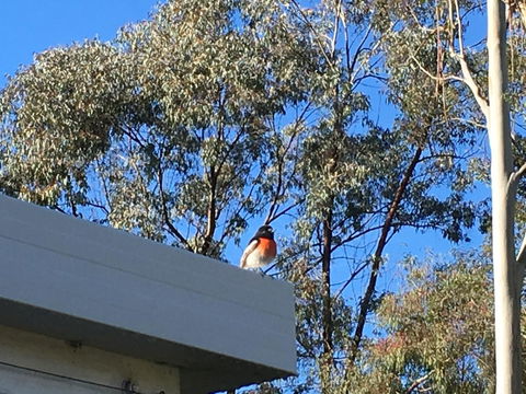 Applegate Lane Chalet - Kawana Tourism 27
