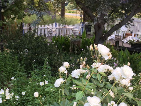 Applegate Lane Chalet - Kawana Tourism 22
