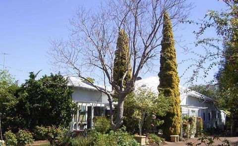 Jacaranda Guest House - Kawana Tourism 37