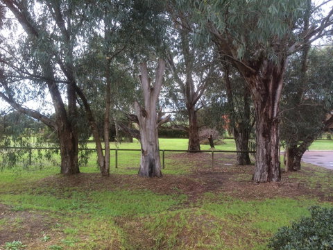 Nivalis Bed And Breakfast - Kawana Tourism 29