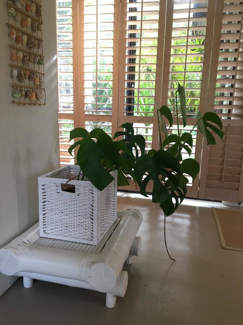 DESIGNER'S STUDIO - Kawana Tourism 5
