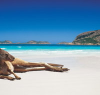 The Shiralee - Kawana Tourism