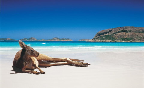 Shiralee Hostel -note - Valid Passport Required To Check In - Kawana Tourism 0