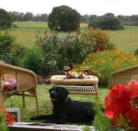 Silversprings cottages - Kawana Tourism