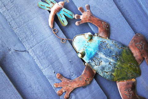 Aquatic Visions - Kawana Tourism 44