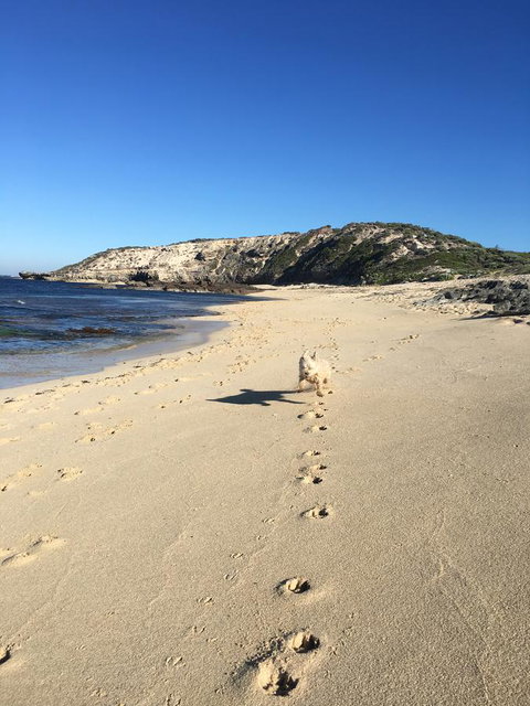 Aquatic Visions - Kawana Tourism 36