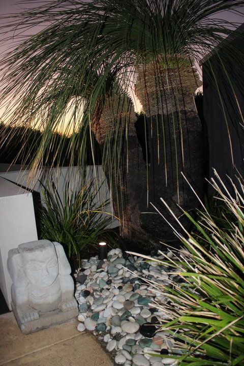 Aquatic Visions - Kawana Tourism 31