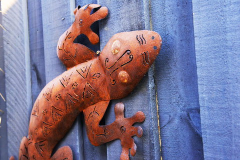 Aquatic Visions - Kawana Tourism 38