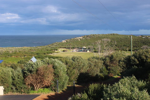 Aquatic Visions - Kawana Tourism 29