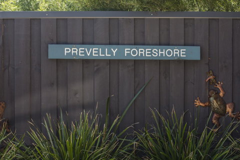 Aquatic Visions - Kawana Tourism 32