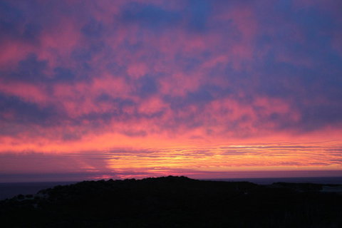 Aquatic Visions - Kawana Tourism 43